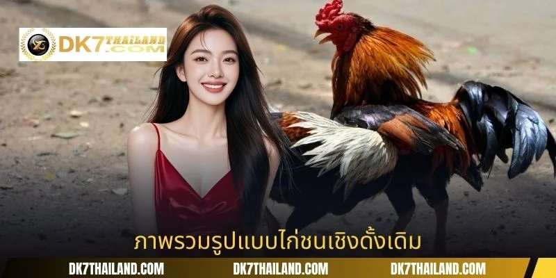 ภาพรวมรูปแบบไก่ชนเชิงดั้งเดิม
