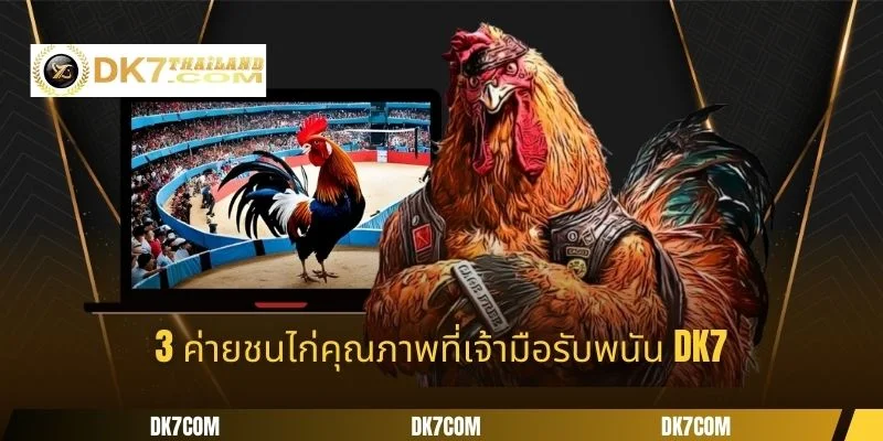 3 ค่ายชนไก่คุณภาพที่เจ้ามือรับพนัน DK7